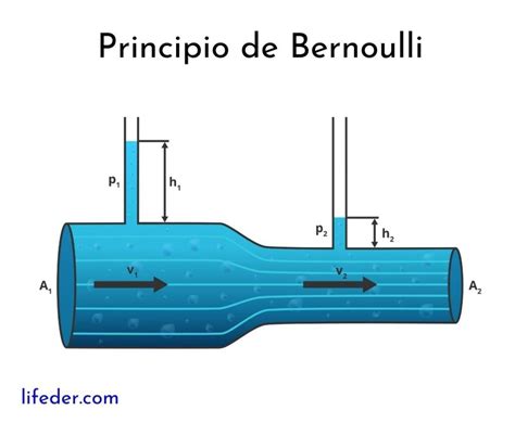 Principio De Bernoulli Ejercicio Parte I El Principito Ideas De The Best Porn Website