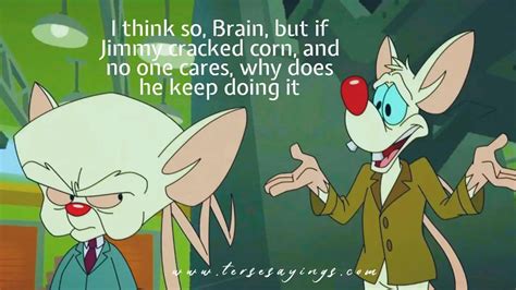 Pinky And The Brain Quotes