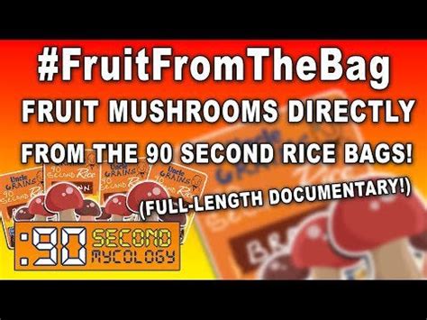 We did not find results for: PREMIERE! #FruitFromTheBag | FULL Documentary! Everything ...