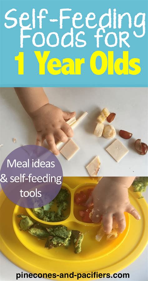 Nsw reports 163 new local covid cases, one new death. Self-Feeding Foods for One Year Olds | One year old foods ...