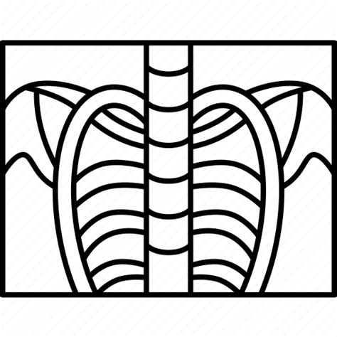 Chest Xray Radiology Health Medical Icon Download On Iconfinder
