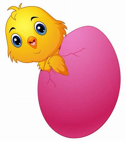 Egg Cartoon Chick Hatching Premium