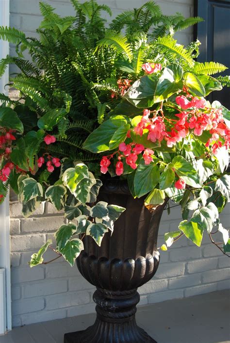 339 Best Summer Planters Images On Pinterest Beautiful