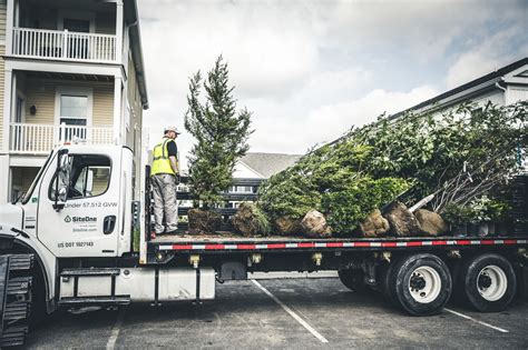 Landscape Nursery Articles -SiteOne