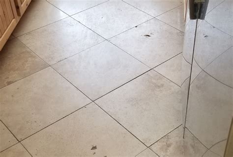 Caring For Travertine Tile Floor Clsa Flooring Guide