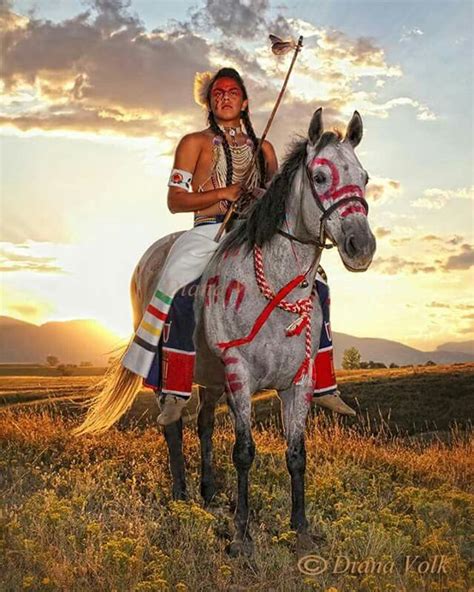 Diana Volk Photography Via Facebook Native American Horses Native
