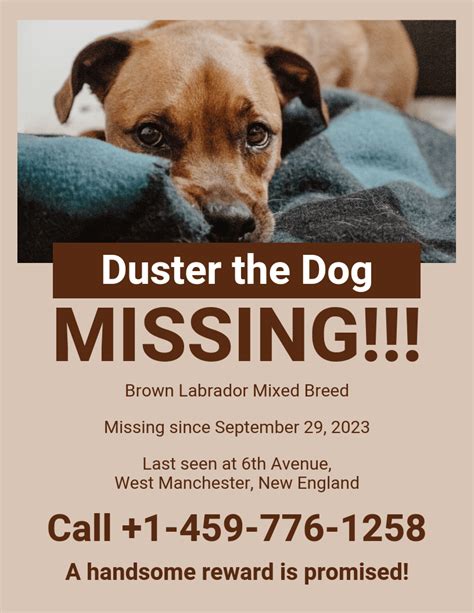 How Do You Find A Missing Dog