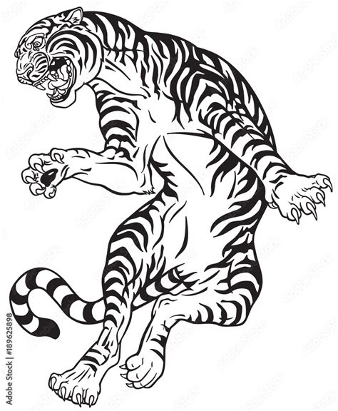 Angry Tiger In The Jump Black And White Tattoo Style Vector