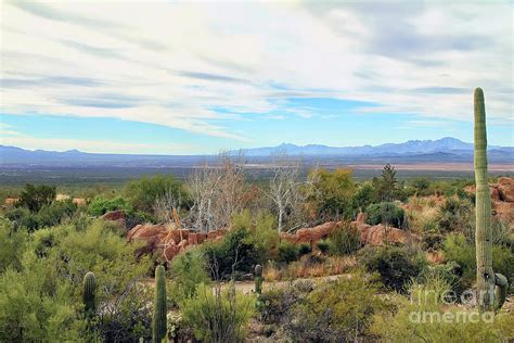Sonoran Desert Landscape Photograph By Teresa Zieba Fine Art America