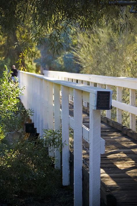 Hd Wallpaper Nature Bridge Quiet Peaceful Walk Park Green Day