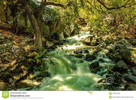 Yosemite National Park River Flowing Downstream Stock Image Image Of