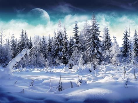 1600x1200 1600x1200 Wood Fur Trees Snow Snowdrifts Fog Moon