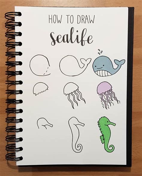Maybe you would like to learn more about one of these? Happy hump day! 🐳 How to draw sea life 🐋 . . . #sealife #whale #jellyfish #sea #underwate… | Sea ...