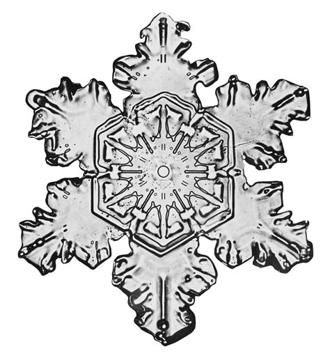 Wilson Bentley First To Capture Photos Of Snowflakes In 1885 Antique