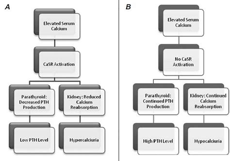 Differentiating Familial Hypocalciuric Hypercalcemia From Primary