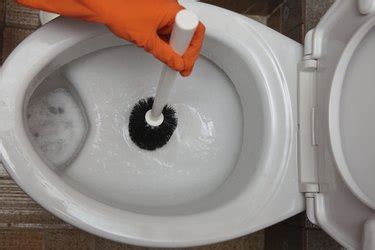 How To Clean The Mildew Under The Toilet Bowl Rim Hunker