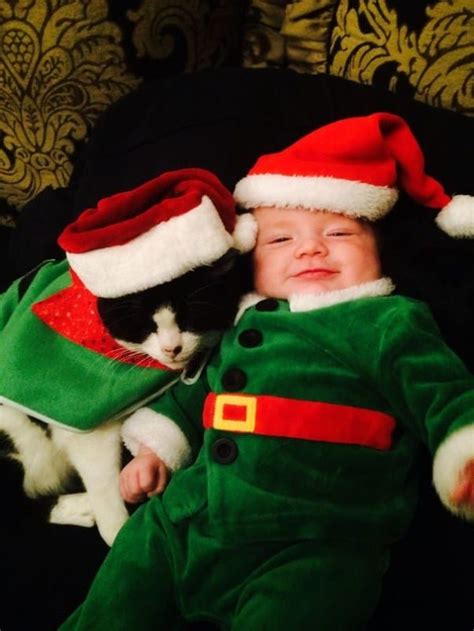 40 Photos That Prove Kids And Cats Make The Best Of Friends Pulptastic