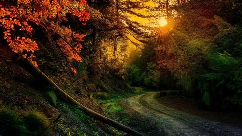 배경 화면 2048x1152 Px 흙길 가을 숲 그리스 경치 자연 통로 사진술 태양 광선 햇빛 일몰
