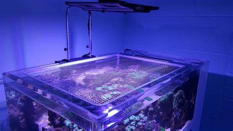 Poliwęglanowe Pokrywy Na Akwarium Technika Nano Reefpl