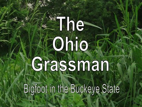 Bigfoot Sightings In Ohio The Grassman Exemplore