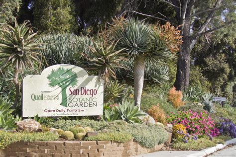 The garden's four miles of trails showcase 5,000 plant species and varieties, including 300 plants for which sdbg is the only garden maintaining a population. San Diego Botanic Garden - Located North of San Diego in ...