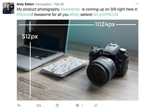 Social Media Image Sizing Guide With Infographic Amy Eaton