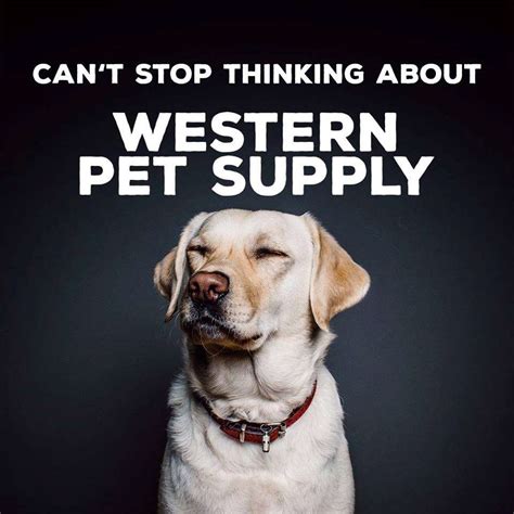 Western Pet Supply Portland Or Pet Supplies