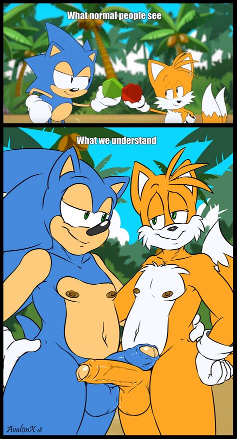 Rule 34 Anthro Aval0nx Balls Beach Canine Chaos Emerald Clothing Duo
