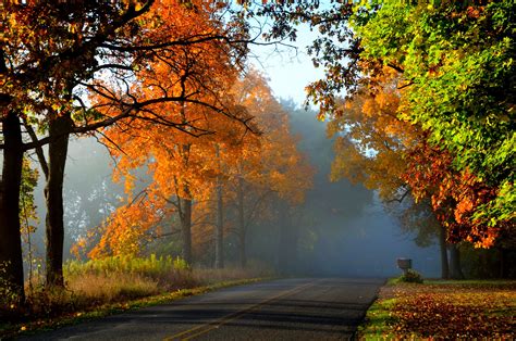 Misty Autumn Road Hd Wallpaper Background Image 3019x2000 Id