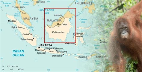 Map Of Bali And Borneo 88 World Maps
