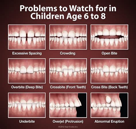 About Teeth — Johnson Pediatric Dental