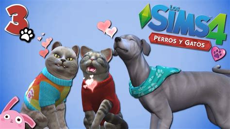 Todas Mis Mascotas Están En Celo Refugio Animal Los Sims 4 Perros