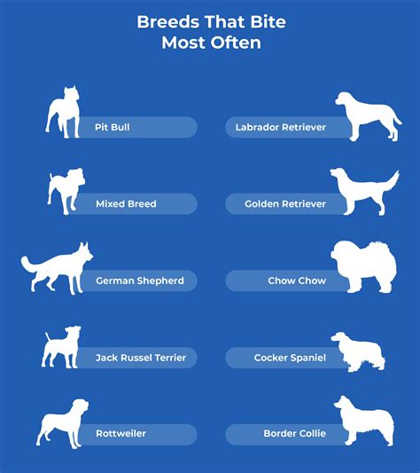 10 Dog Bite Statistics And Facts By Breed How Likely Are You To Get Bit