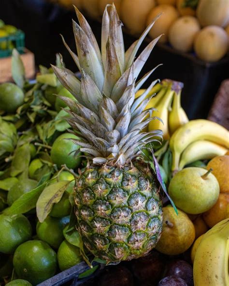 Fresh Tropical Fruits Vegetable Supermarket Counter Stock Photo