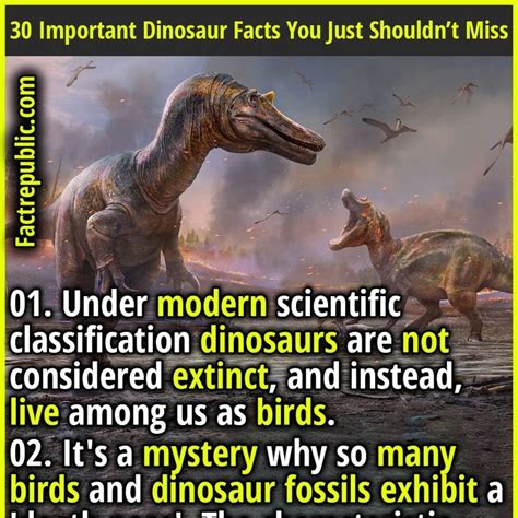 30 Important Dinosaur Facts You Just Shouldnt Miss Fact Republic In