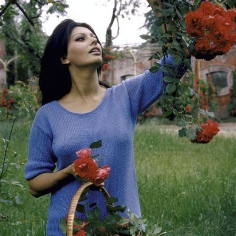 Life Legend Sophia Loren Picking Roses At Her Villa In Italy In 1964
