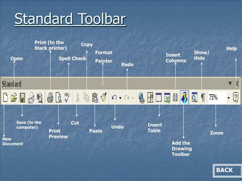 Ppt Microsoft Word Toolbars And Vocabulary Powerpoint Presentation