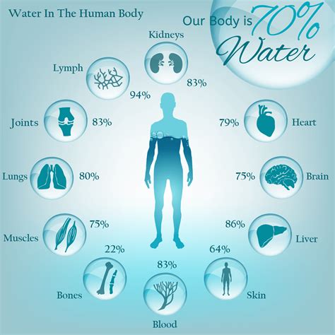 The Importance Of Water To The Body North Carolina Water Consultants