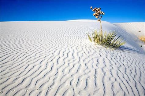 Usa All 50 States Road Trip Bucket List White Sands National Park New
