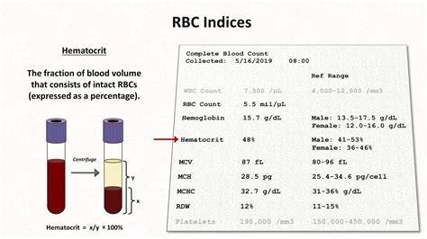How To Calculate Hematocrit From Hemoglobin The Tech Edvocate