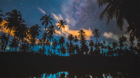 Download Wallpaper 3840x2160 Palm Trees Starry Sky Milky