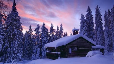 Log Cabin In The Wood In Winter High Definition