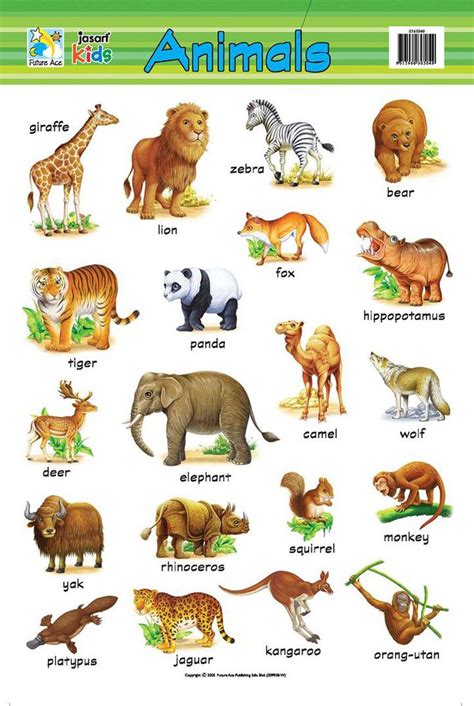 For the number of different kinds of animals, or species, is higher than you'd ever imagine. 0365040.jpg (805×1200) | Learning english for kids, Kids ...
