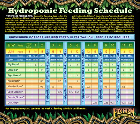 Autoflower Hydroponic Nutrient Schedule