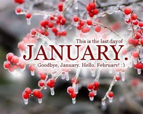 40 Goodbye January Quotes Hello January Hello February Quotes