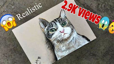 How To Draw Realistic Cat For Beginners For Drawing Technique Youtube