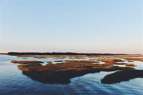 Summary and analysis chapter 1. Where The Crawdads Sing Chapter 1 Summary | Shortform Books