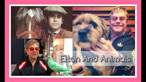 Elton John Is An Animal Lover Youtube