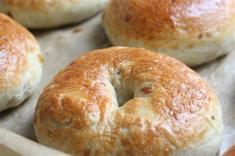 Homemade Bagels Free Stock Photo Public Domain Pictures