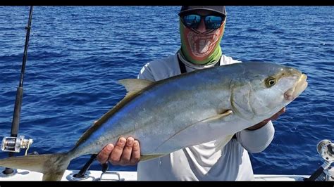 Giant Yellow Jack Caught Fishing Offshore In The Florida Keys Pb Fish